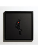 Pulm Cockatoo - Black Edition Tablo