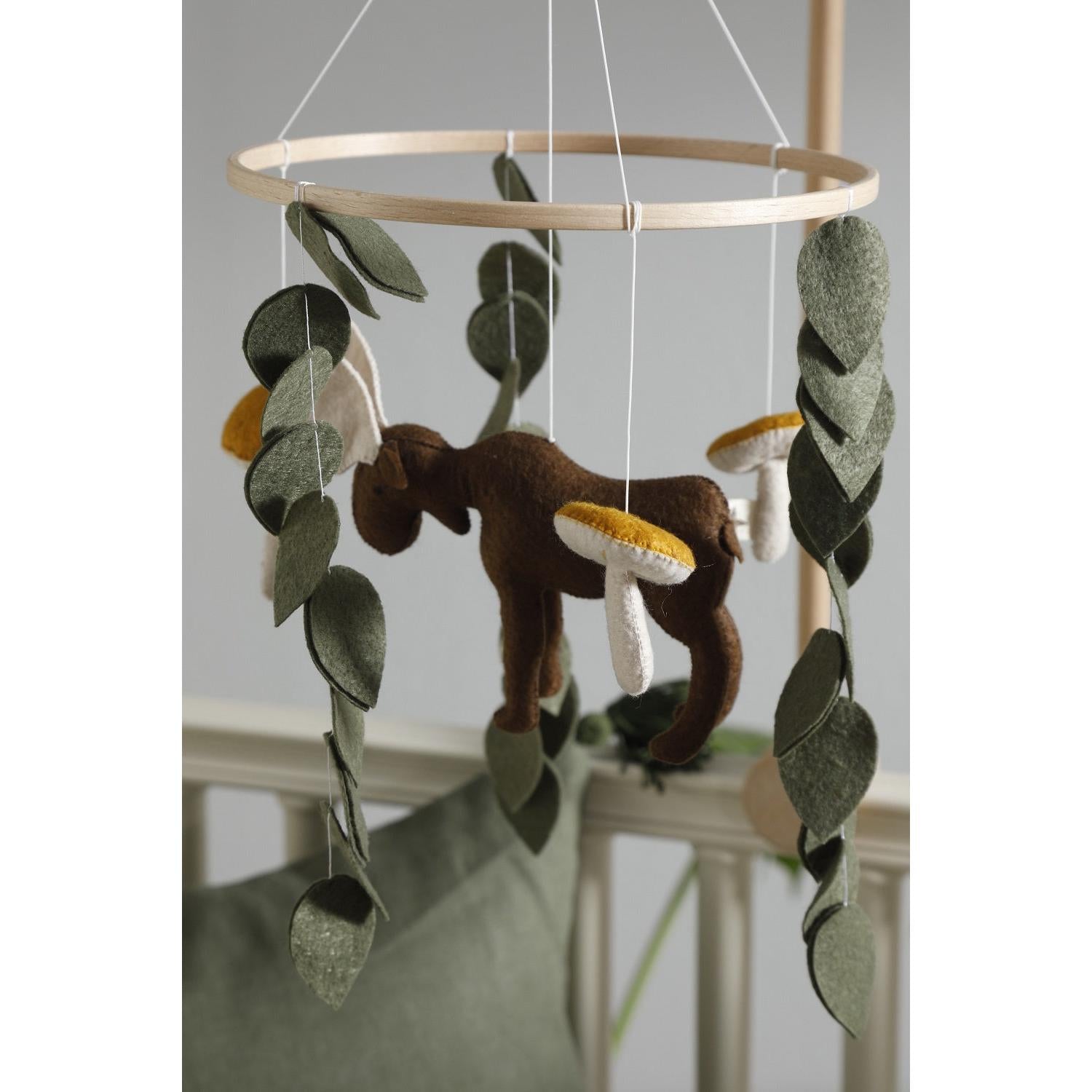 Ren Geyiği Dönence