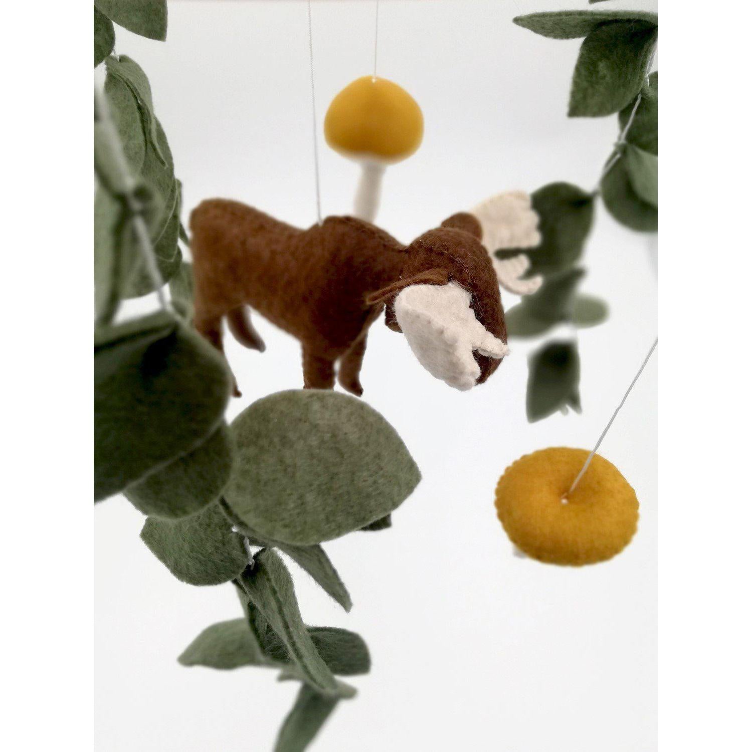 Ren Geyiği Dönence