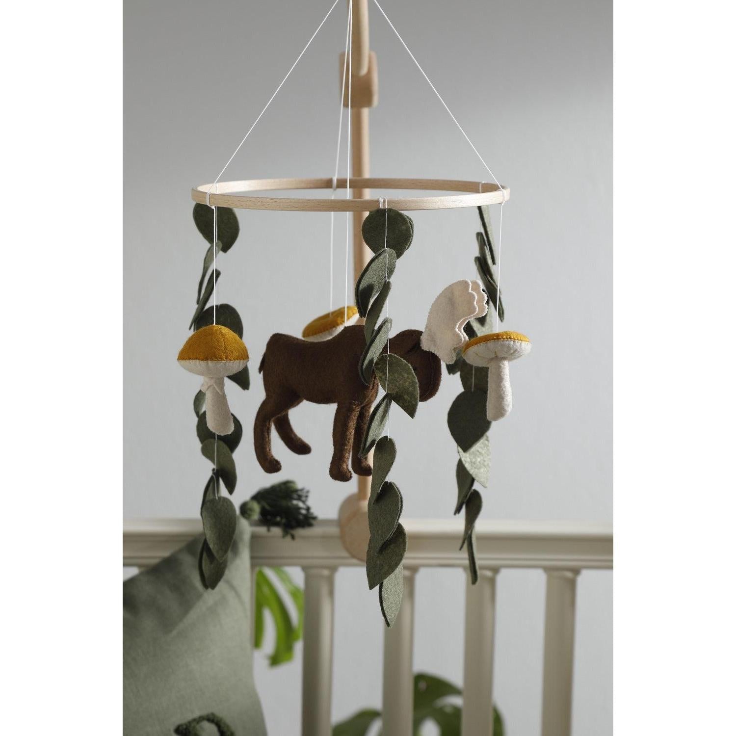 Ren Geyiği Dönence