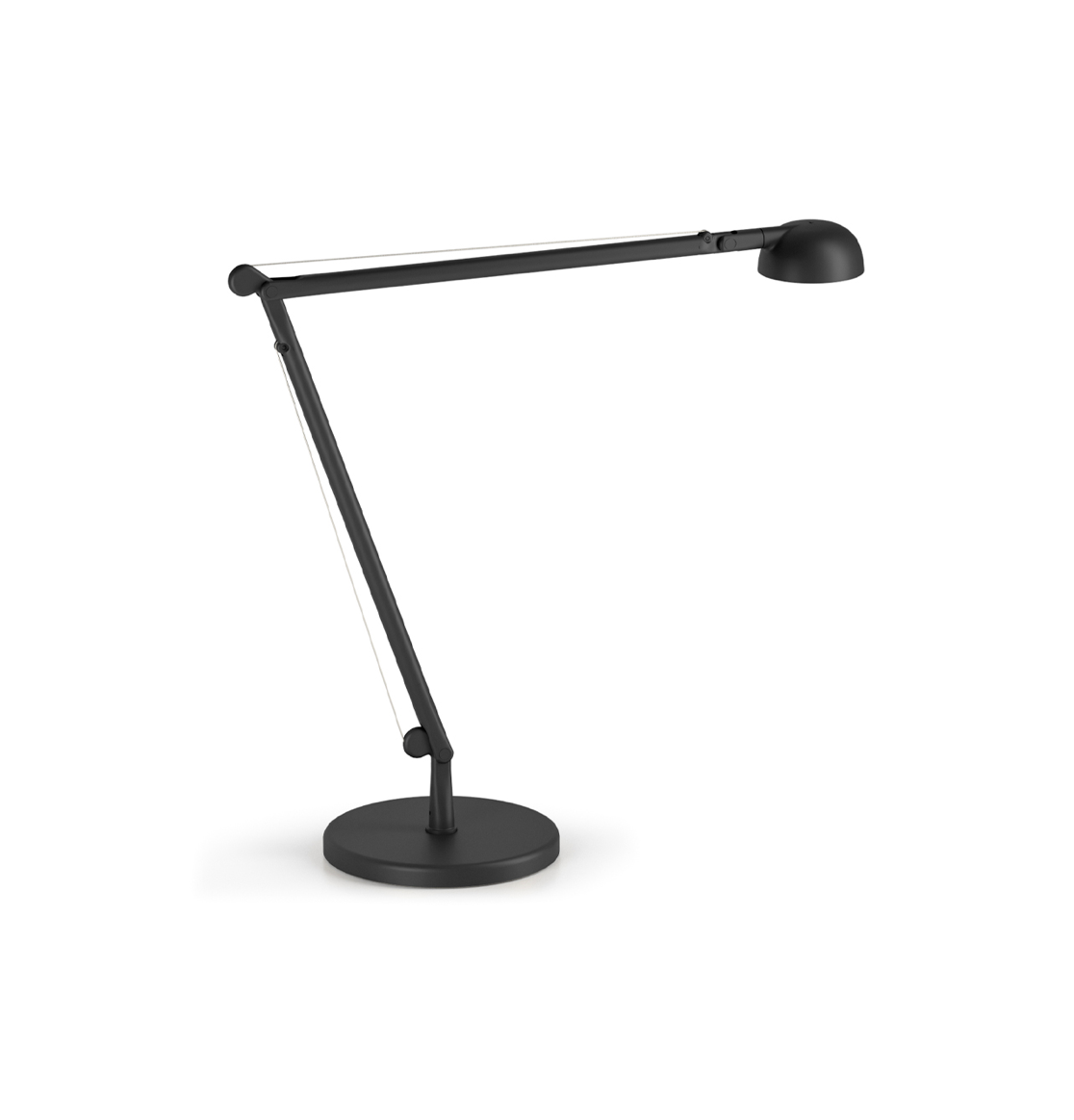 Opuntia Mat Siyah Masa Lambası