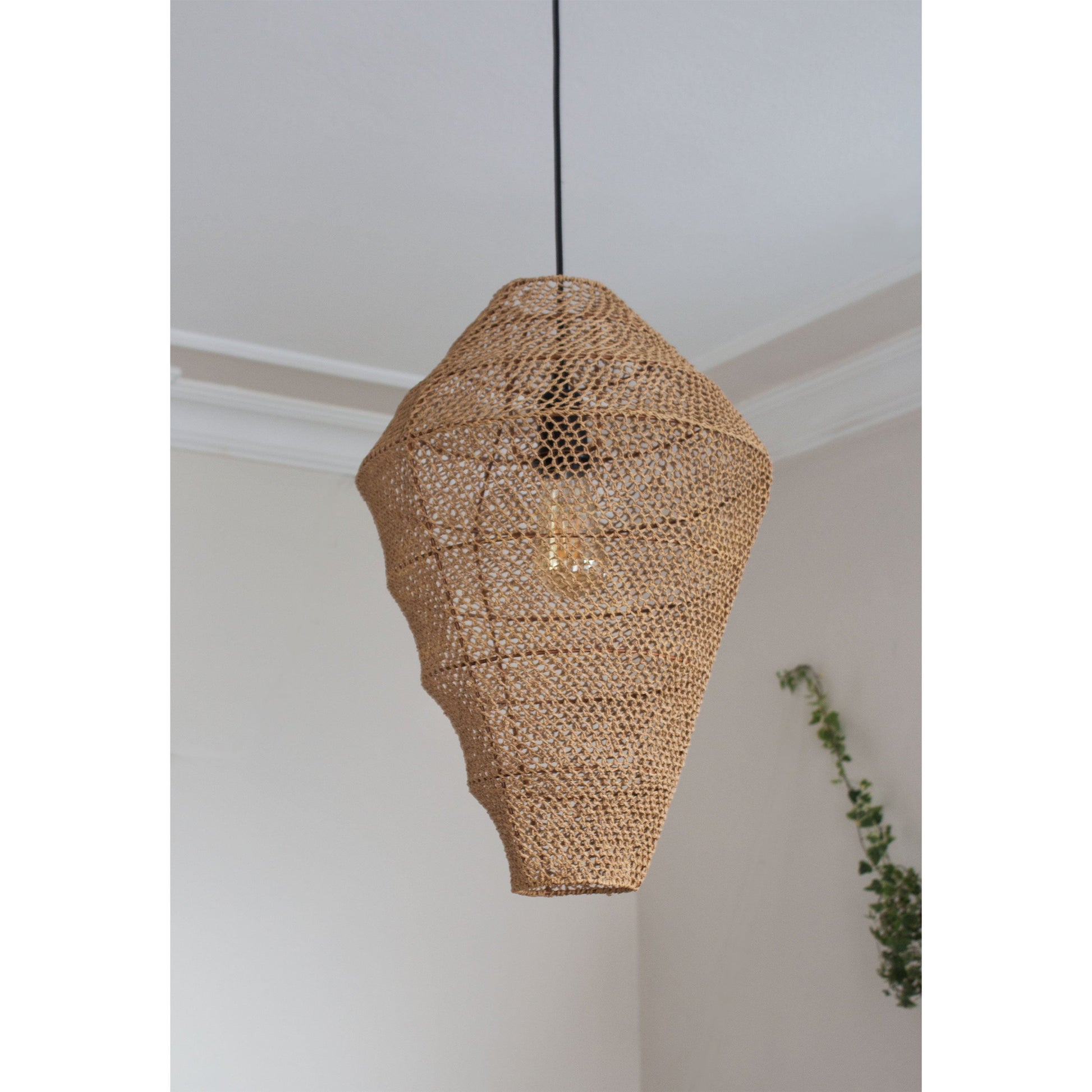 Sea Shell Sarkıt Aydınlatma