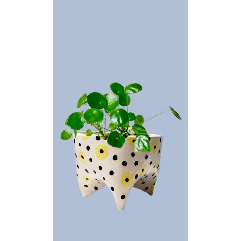 Siyah Beyaz Ayaklı Seramik Saksı