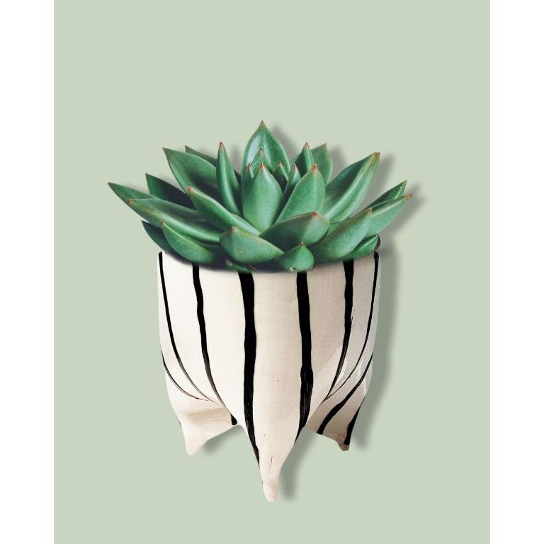 Siyah Beyaz Ayaklı Seramik Saksı