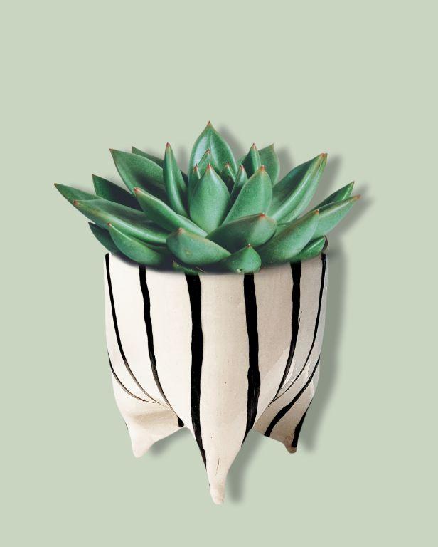 Siyah Beyaz Ayaklı Seramik Saksı