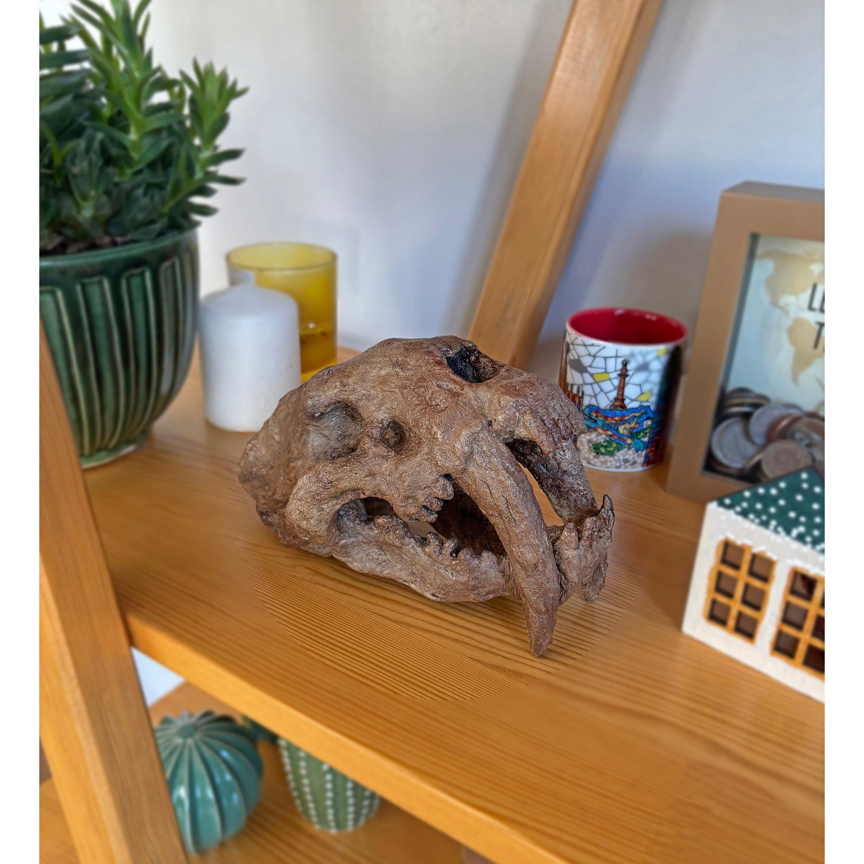 Smilodon Mini Seramik Heykel