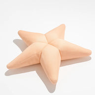 Starfish Havuz, Deniz Ve Dış Mekan Pufu | Bahçe Kullanımına Uygun Puf Minder-Minder-livingstore-Pudra-NowShopFun