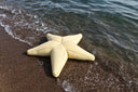 Starfish Havuz, Deniz Ve Dış Mekan Pufu | Bahçe Kullanımına Uygun Puf Minder