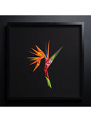 Strelitzia Tablo