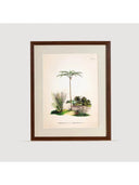 Tropical Serisi Tablo No:1
