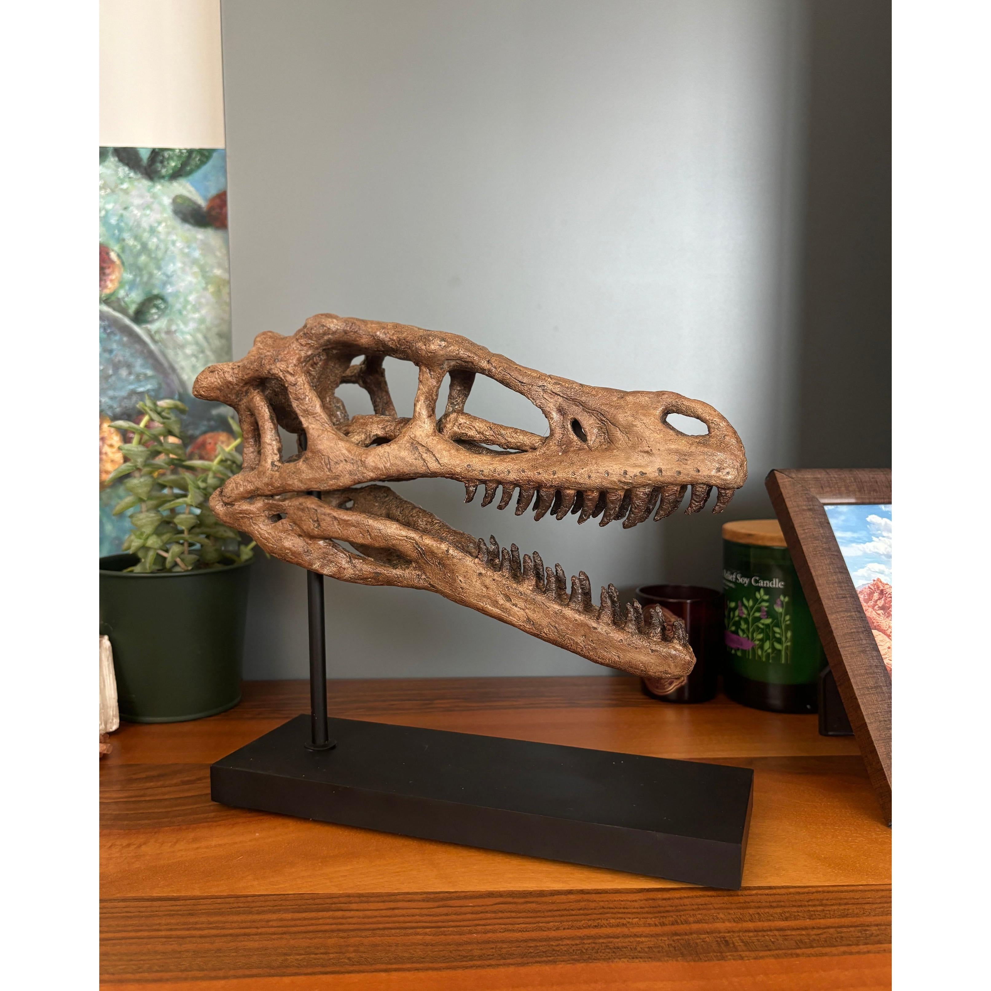 Velociraptor Fosil Heykeli