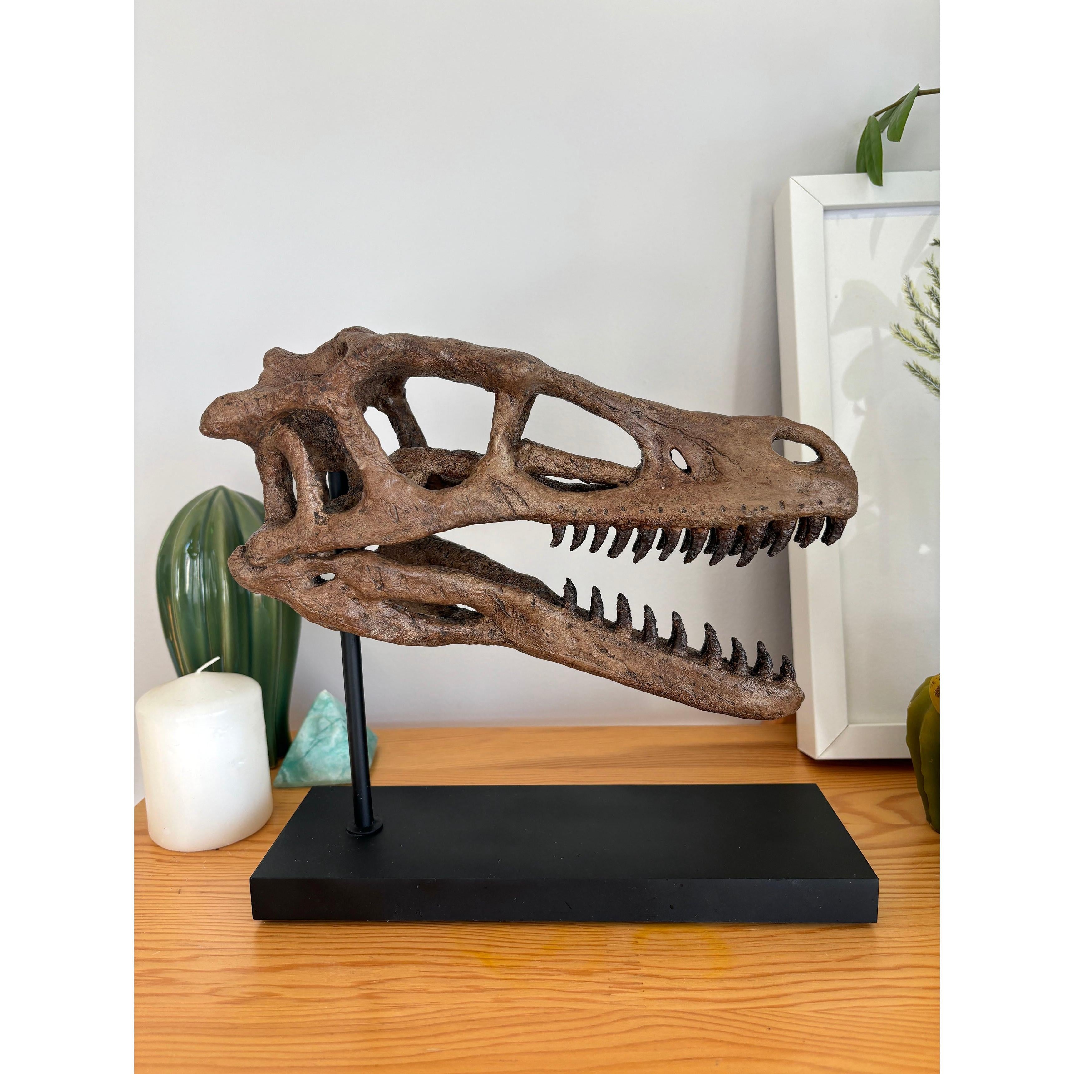 Velociraptor Fosil Heykeli