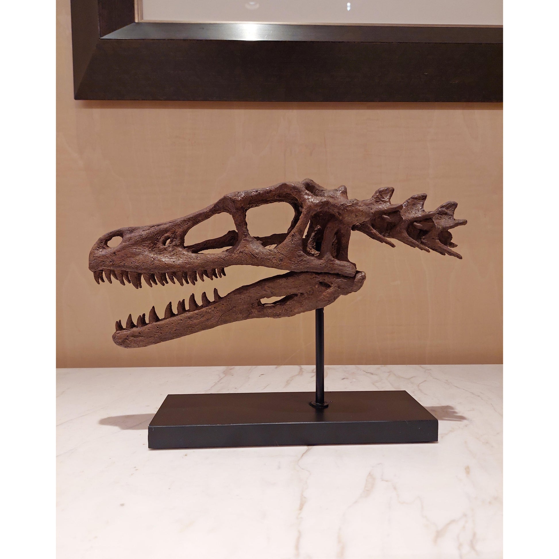 Velociraptor Fosil Heykeli (Omurgalı)