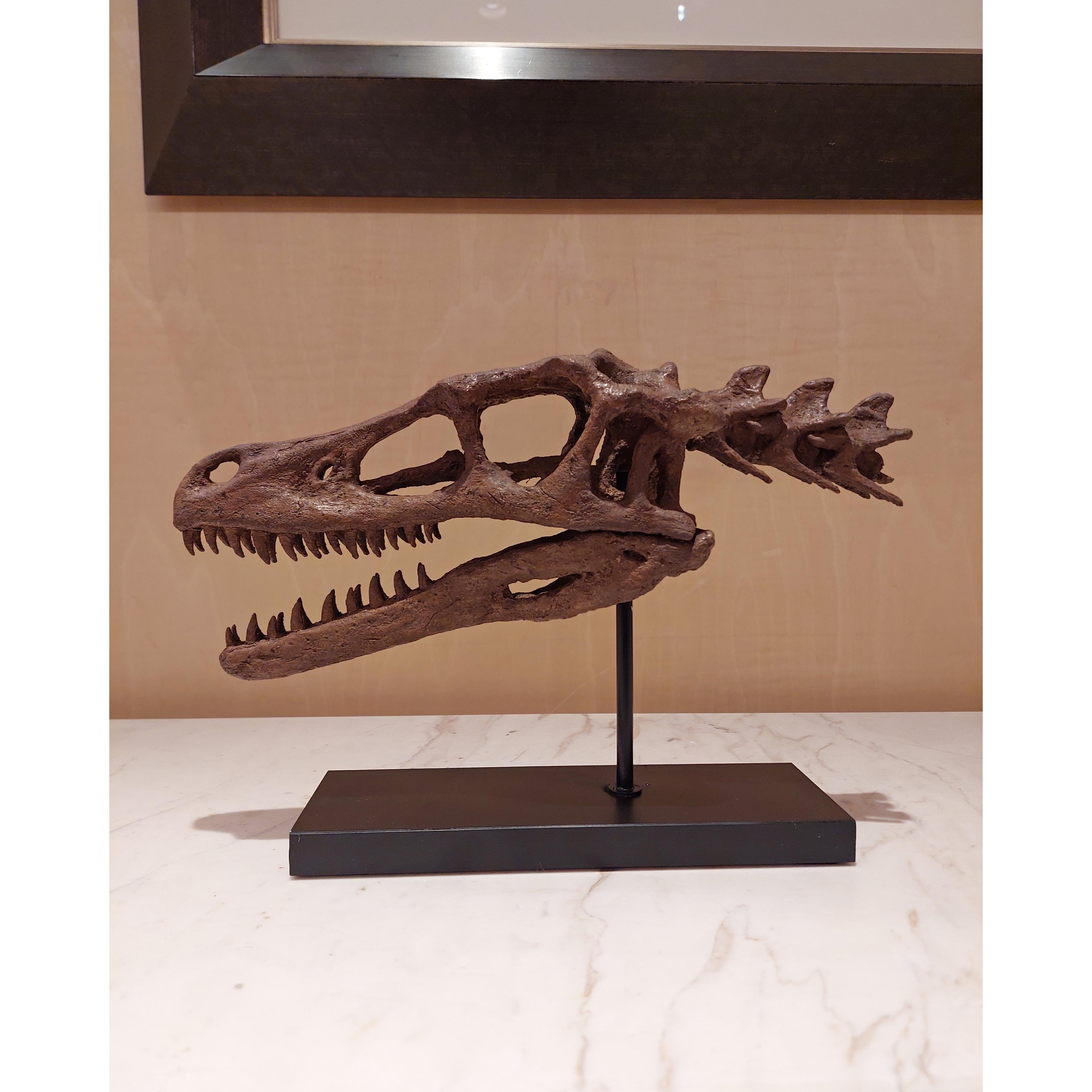 Velociraptor Fosil Heykeli (Omurgalı)