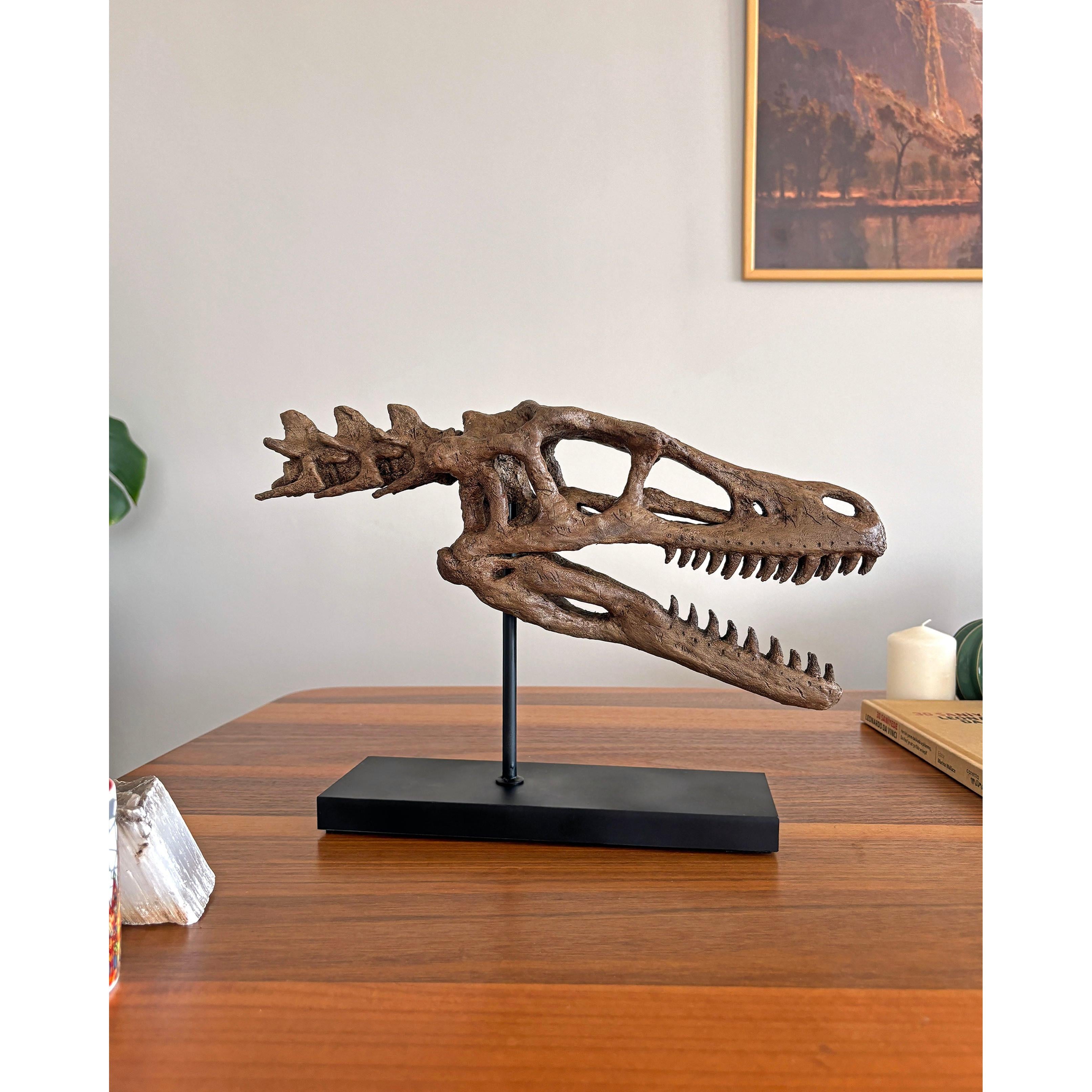Velociraptor Fosil Heykeli (Omurgalı)