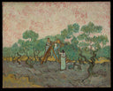 Vincent Van Gogh - Zeytin Toplayan Kadınlar Fine Art Baskı