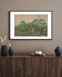 Vincent Van Gogh - Zeytin Toplayan Kadınlar Fine Art Baskı
