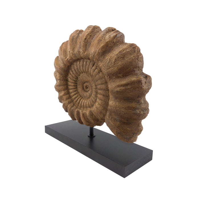 Ammonite Fosil Heykeli