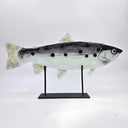 Abanticus Serisi El Yapımı Füzyon Cam Balık Heykel-Esra Balcı Cam Stüdyosu-50cm-NowShopFun