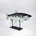 Abanticus Serisi El Yapımı Füzyon Cam Balık Heykel-Esra Balcı Cam Stüdyosu-60cm-NowShopFun