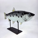 Abanticus Serisi El Yapımı Füzyon Cam Balık Heykel-Esra Balcı Cam Stüdyosu-70cm-NowShopFun