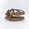 Allosaurus Mini Seramik Heykel-Heykel-The Fossil Art-NowShopFun