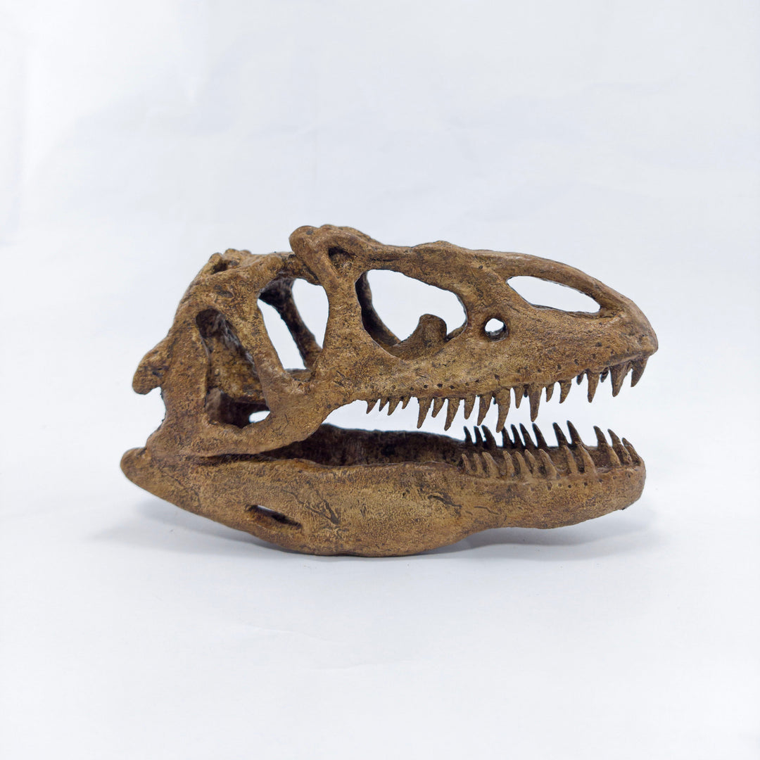 Allosaurus Mini Seramik Heykel