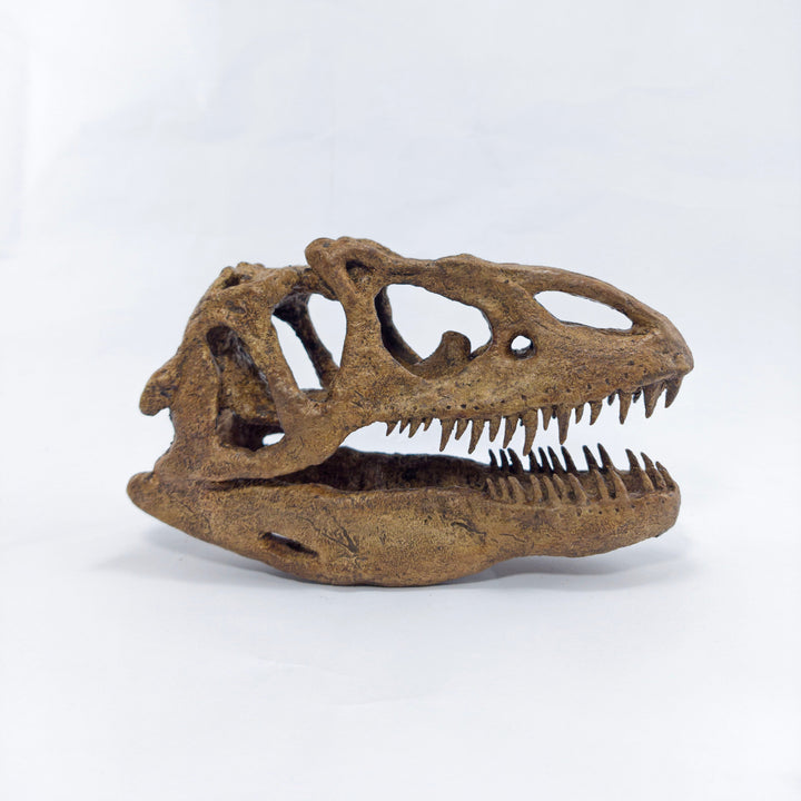 Allosaurus Mini Seramik Heykel-Heykel-The Fossil Art-NowShopFun