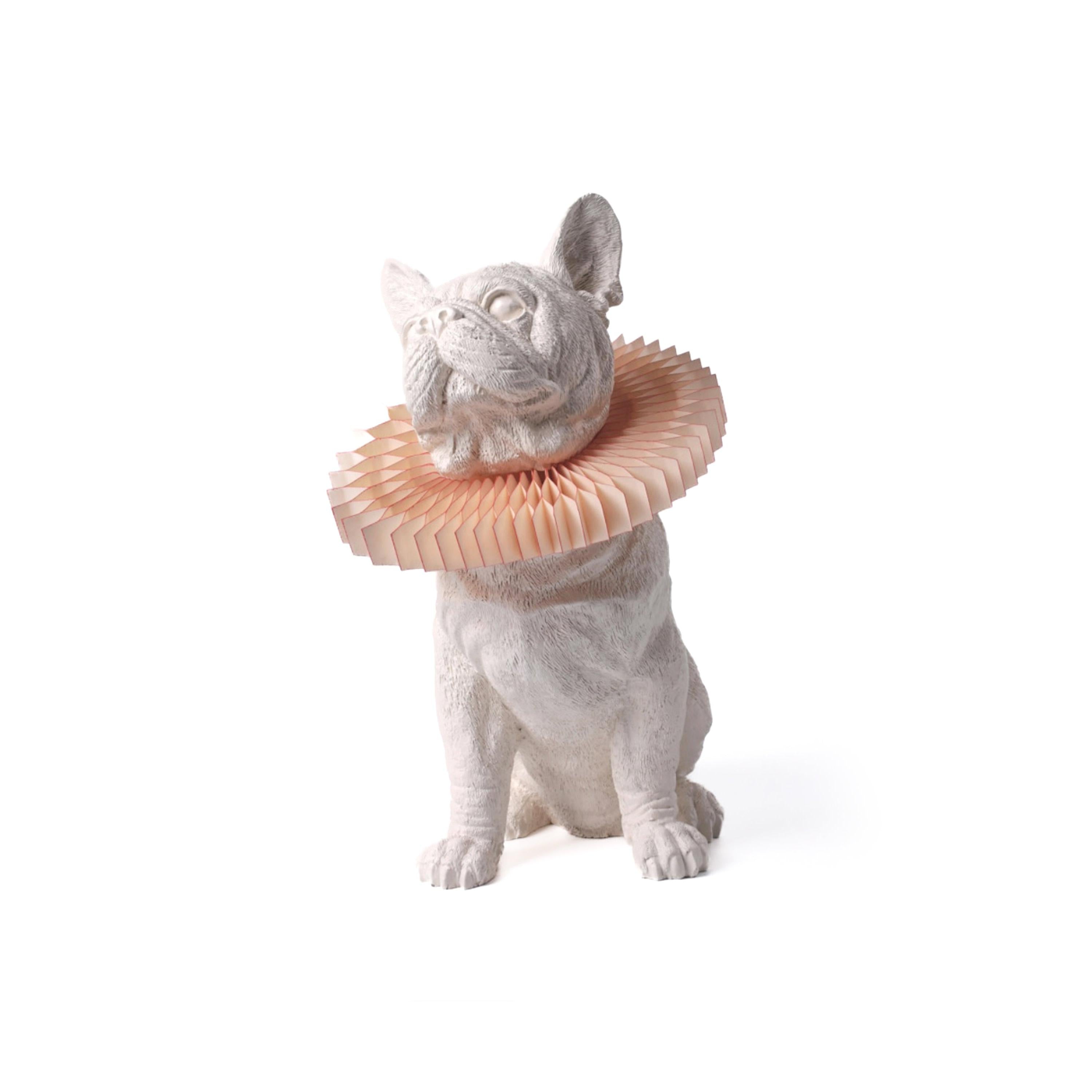 Animal Dekoratif Aydınlatma