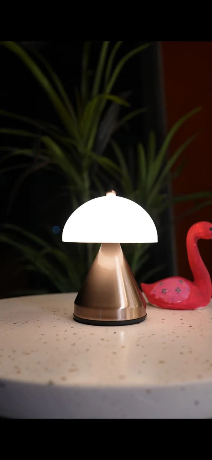 Anselm Masa Lambası