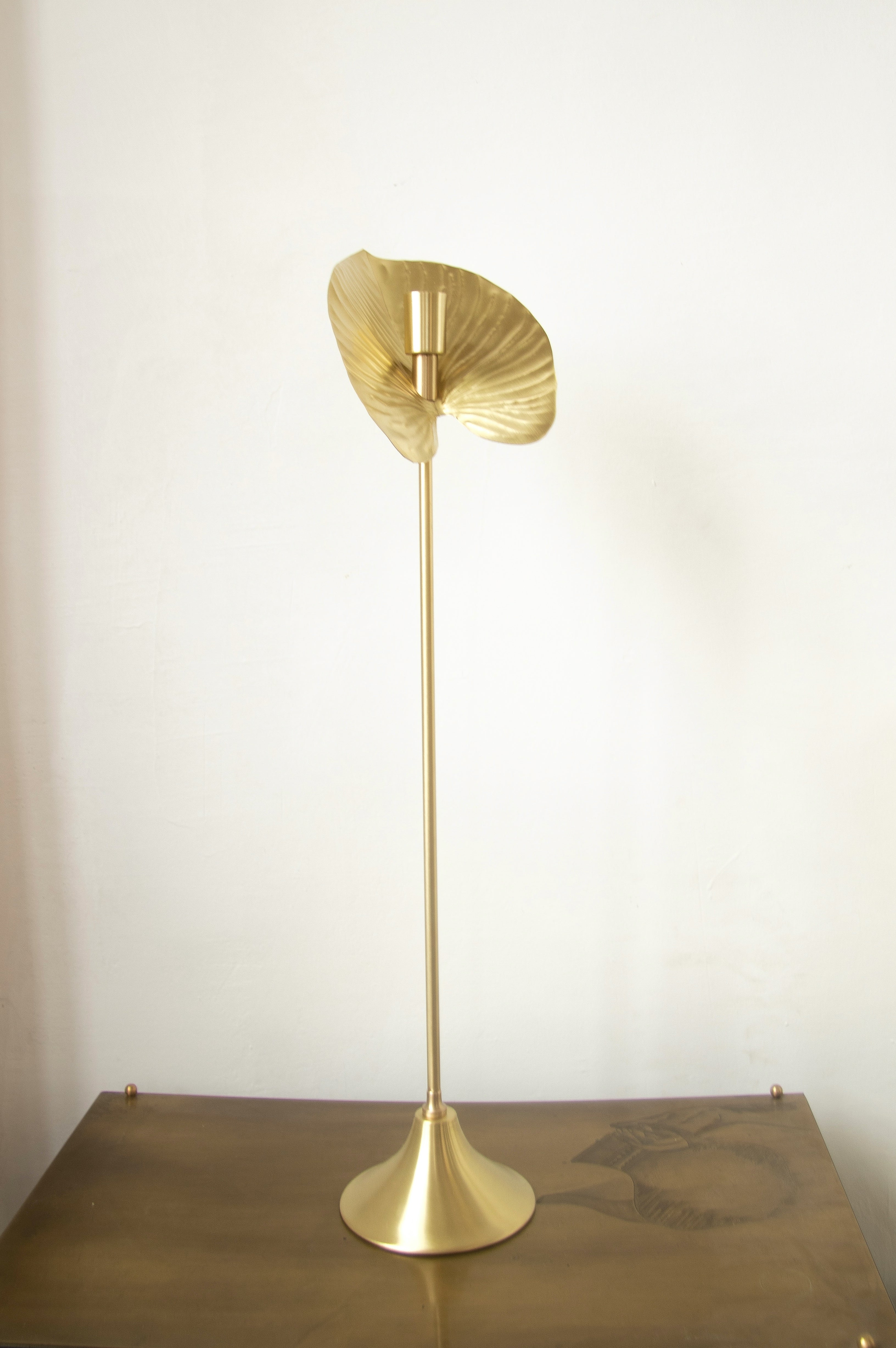 Antoryum Pirinç Mumluk (50 Cm)