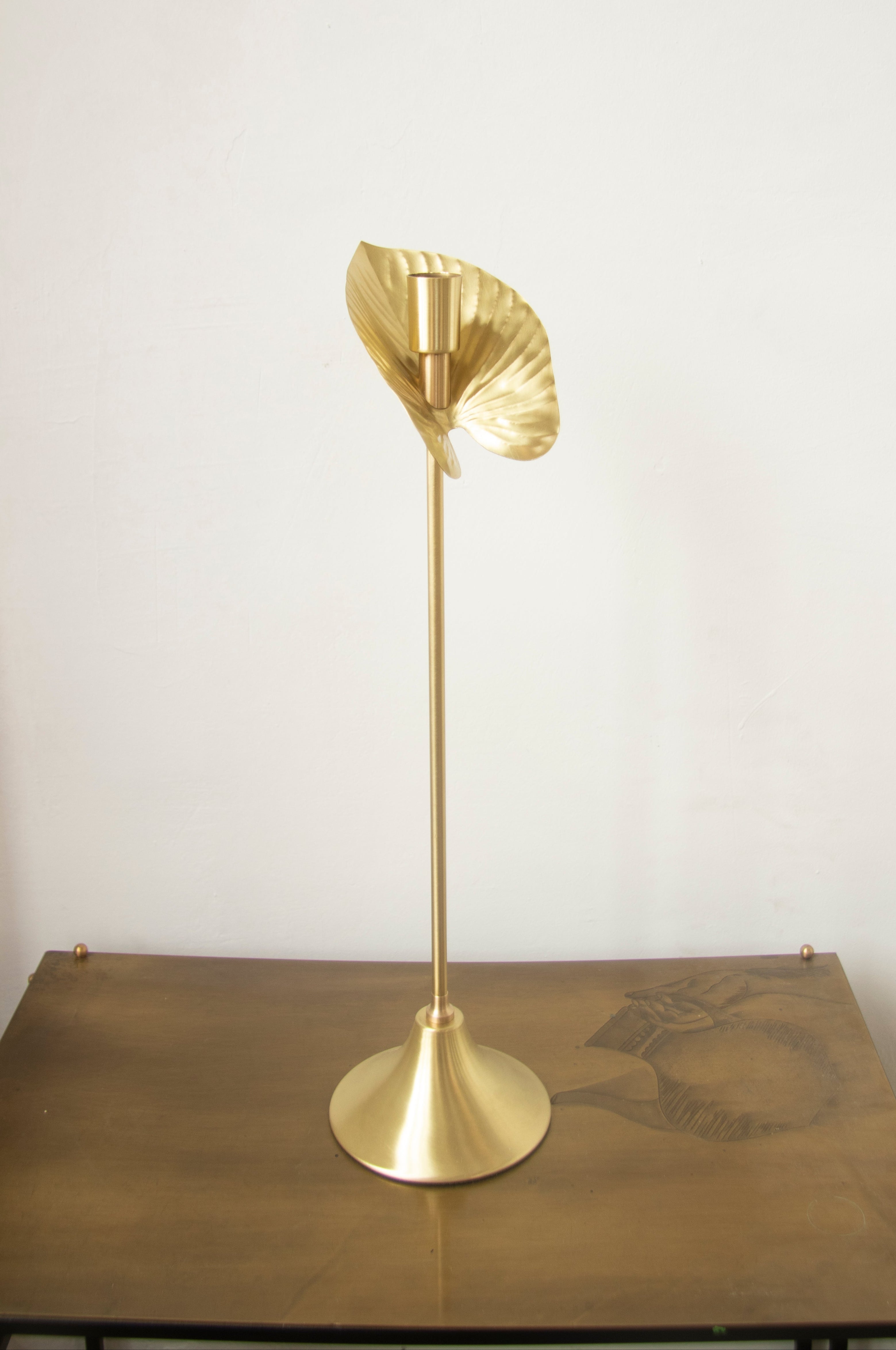 Antoryum Pirinç Mumluk(40 Cm)