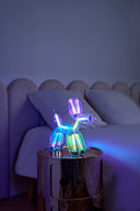 Balloon Dog Lamba