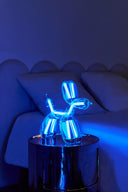 Balloon Dog Lamba