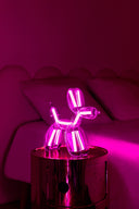 Balloon Dog Lamba