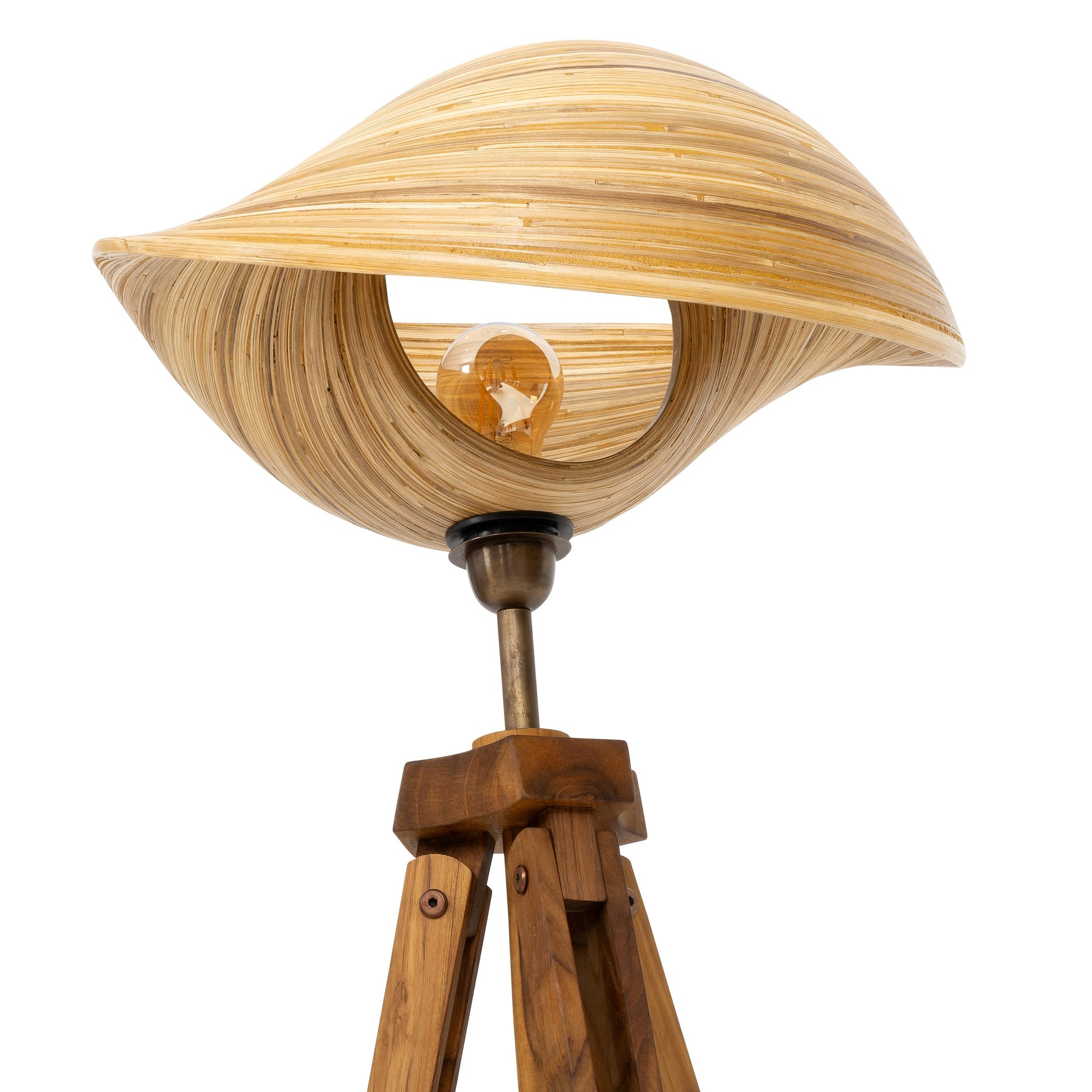 Bambu Tripod Aydınlatma