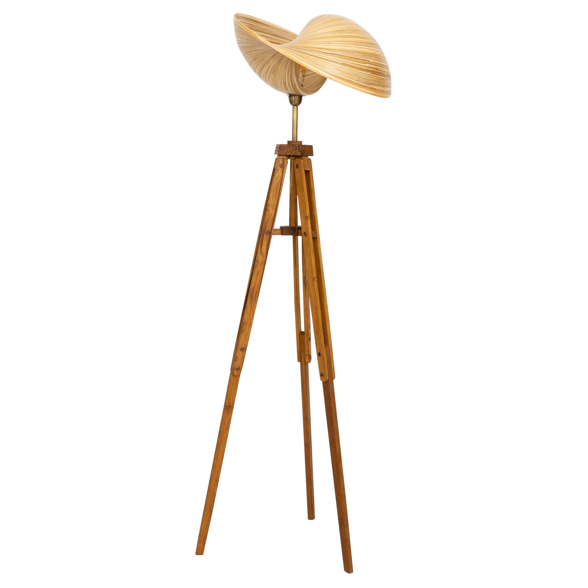Bambu Tripod Aydınlatma