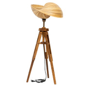 Bambu Tripod Aydınlatma