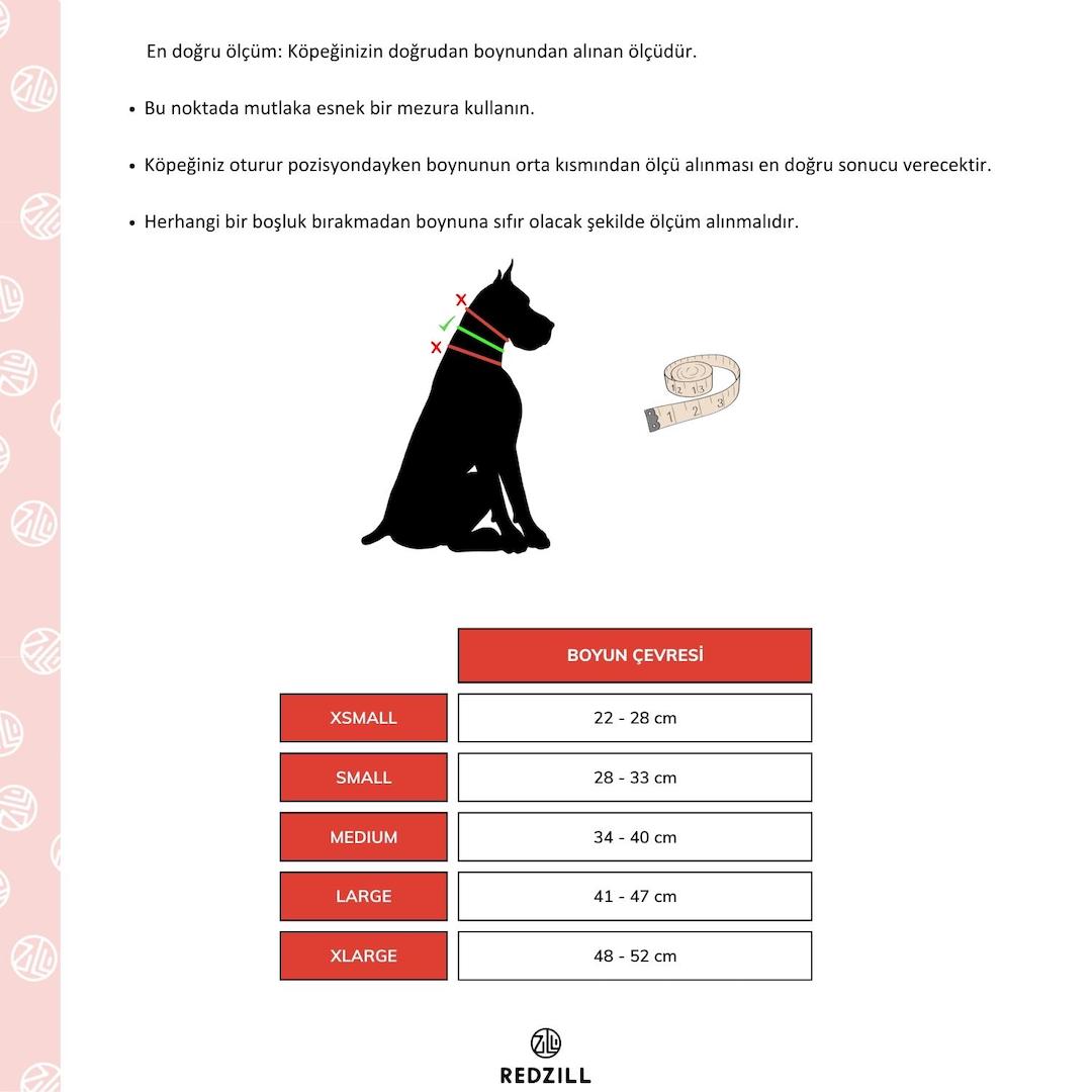 Bavyera Köpek Tasması Ve Bileklik Set-Tasma-Redzill-L-NowShopFun