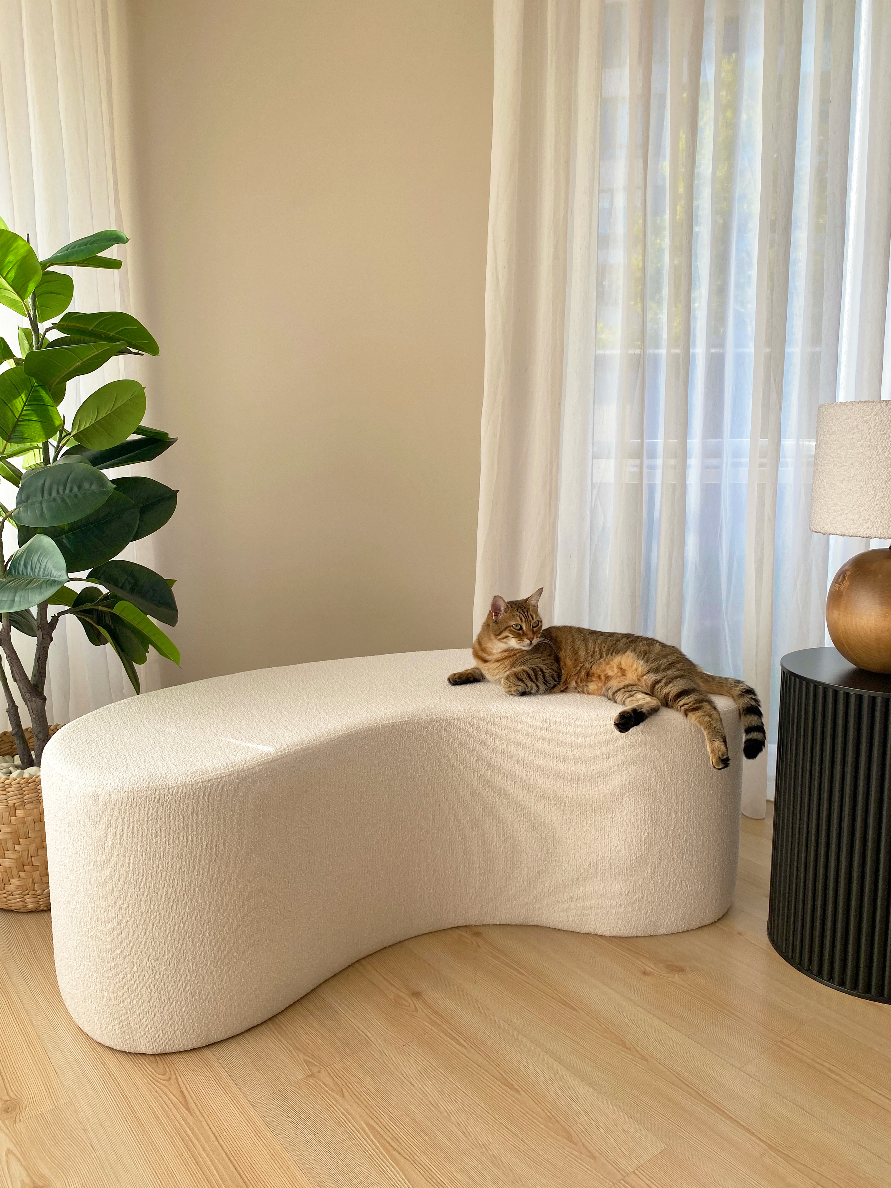 Bean Puf / Bench