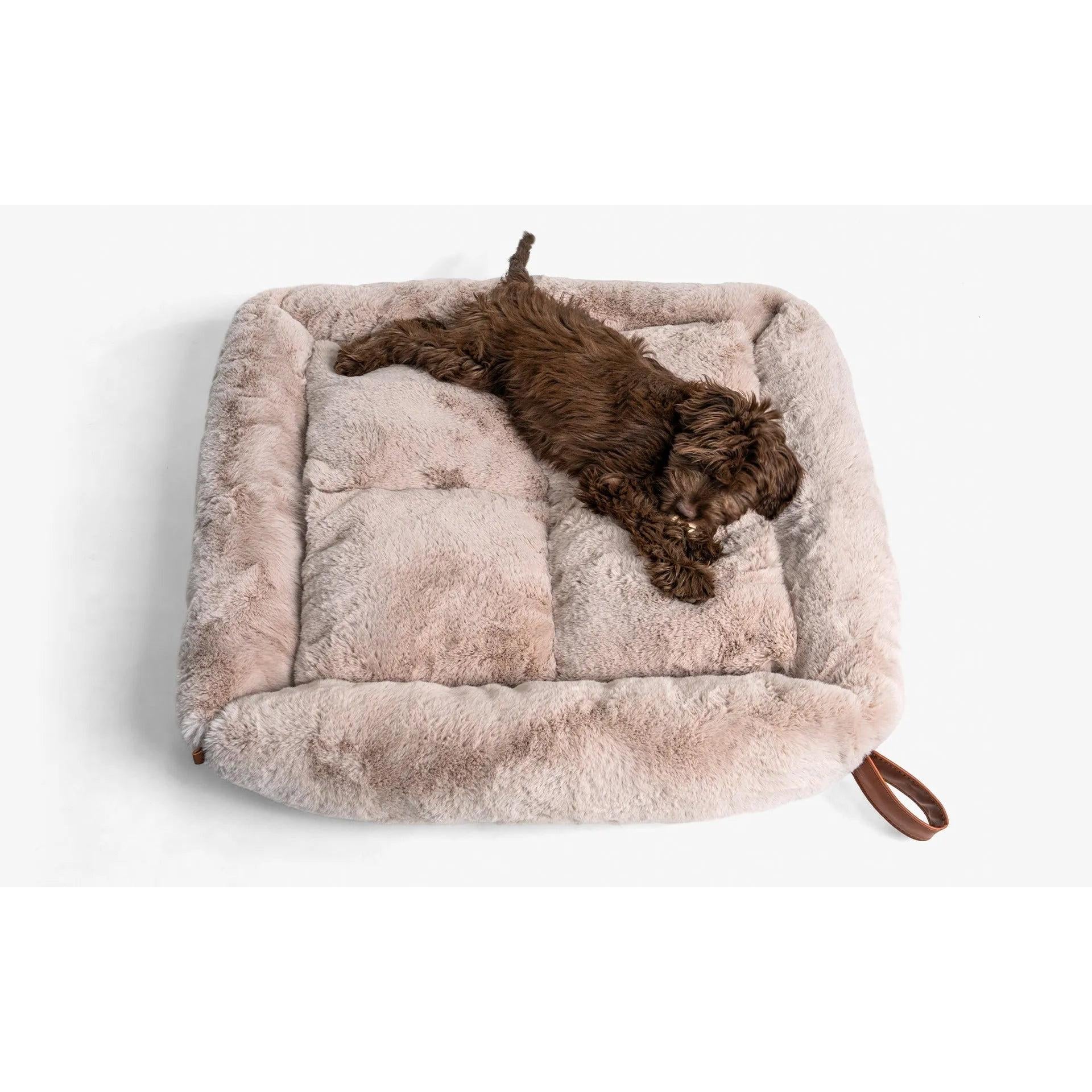 Beddo Köpek Yatağı