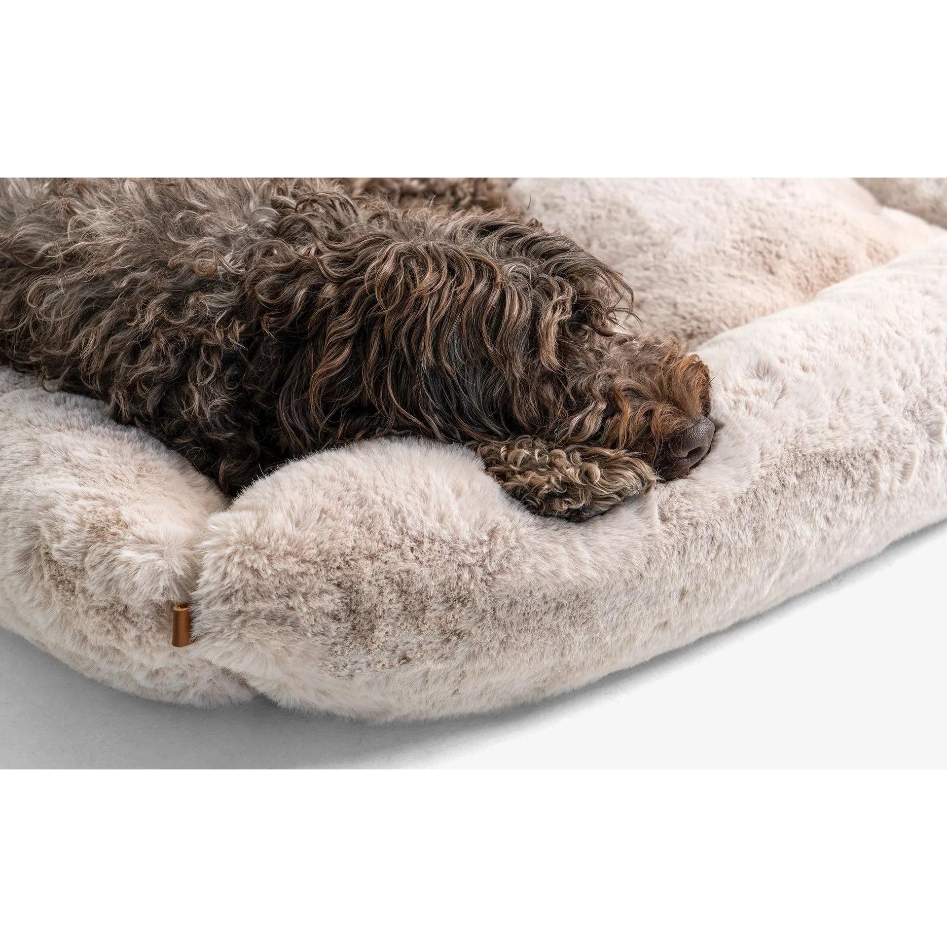 Beddo Köpek Yatağı