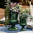 Berry & Thread Küçük Parterre Garden Fesleğen Yeşili Seramik Vazo