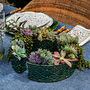Berry & Thread Küçük Parterre Garden Fesleğen Yeşili Yarım Daire Seramik Vazo (2li Set)