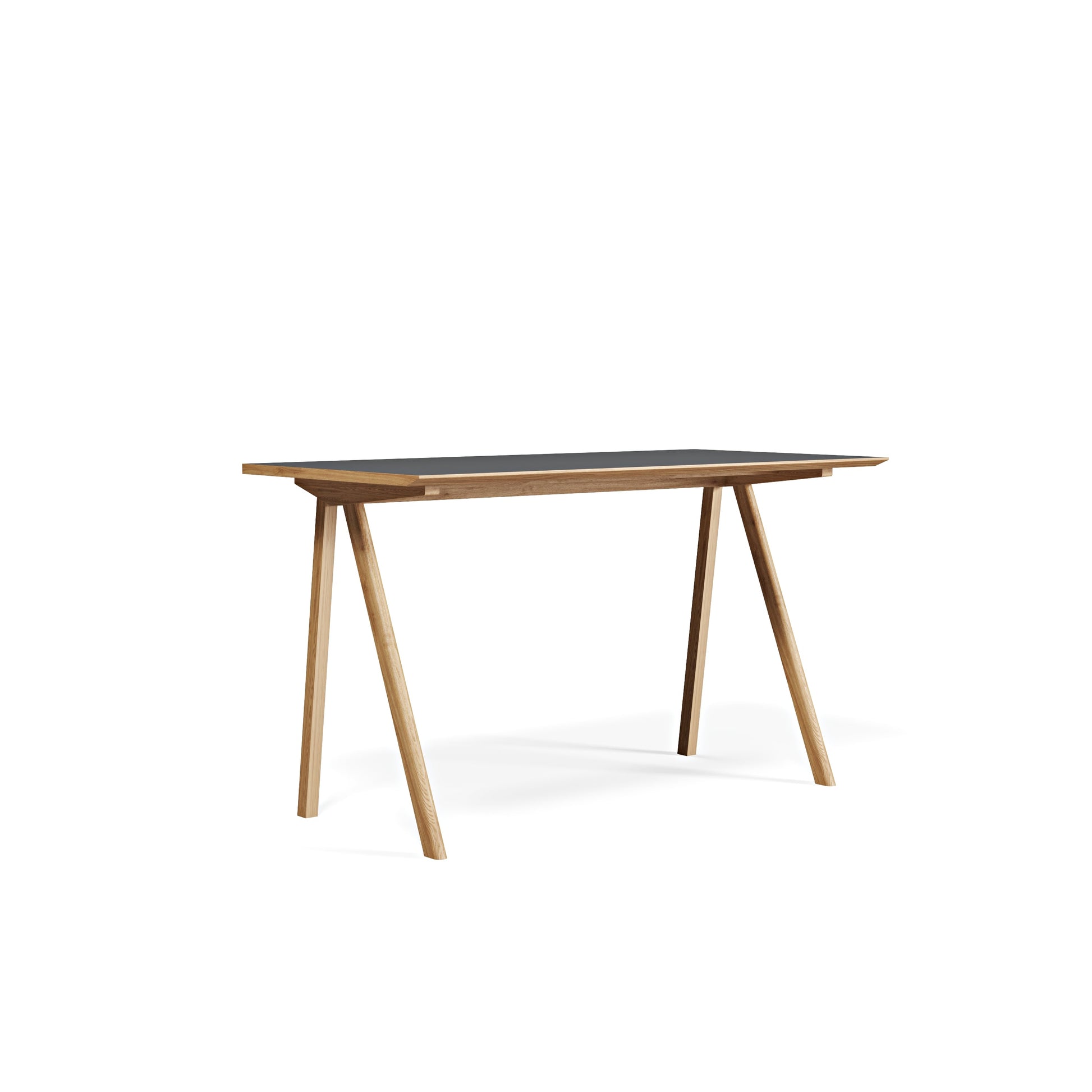 Bike Linoleum Çalışma Masası