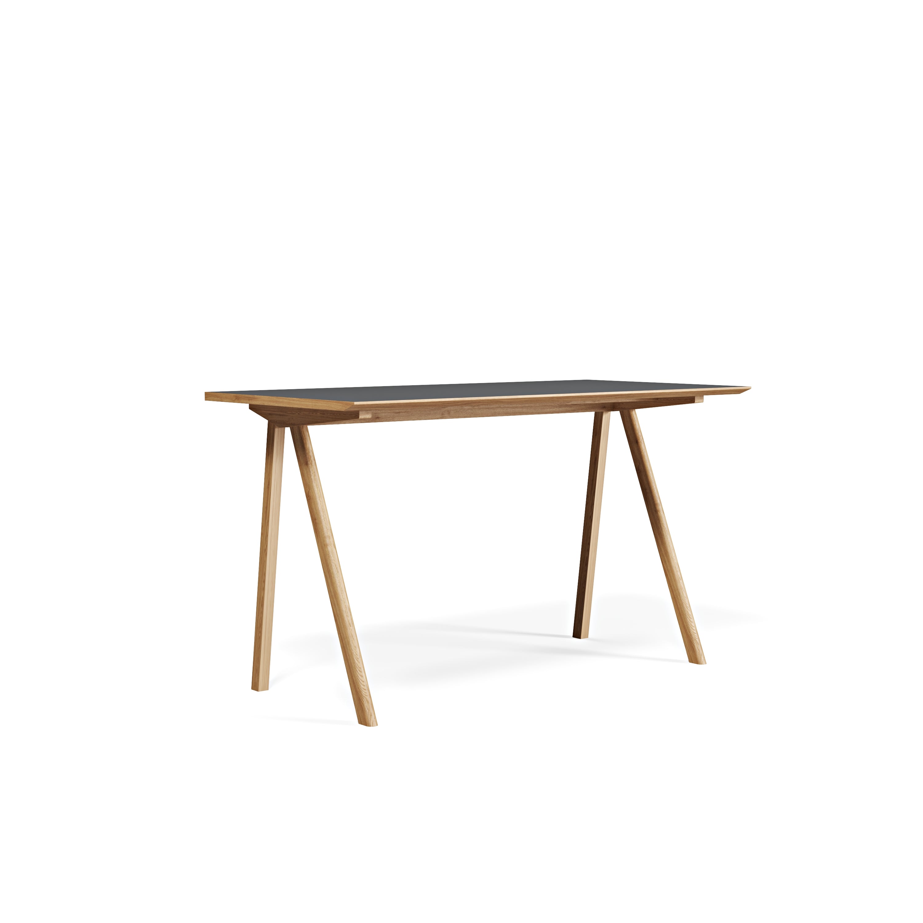 Bike Linoleum Çalışma Masası