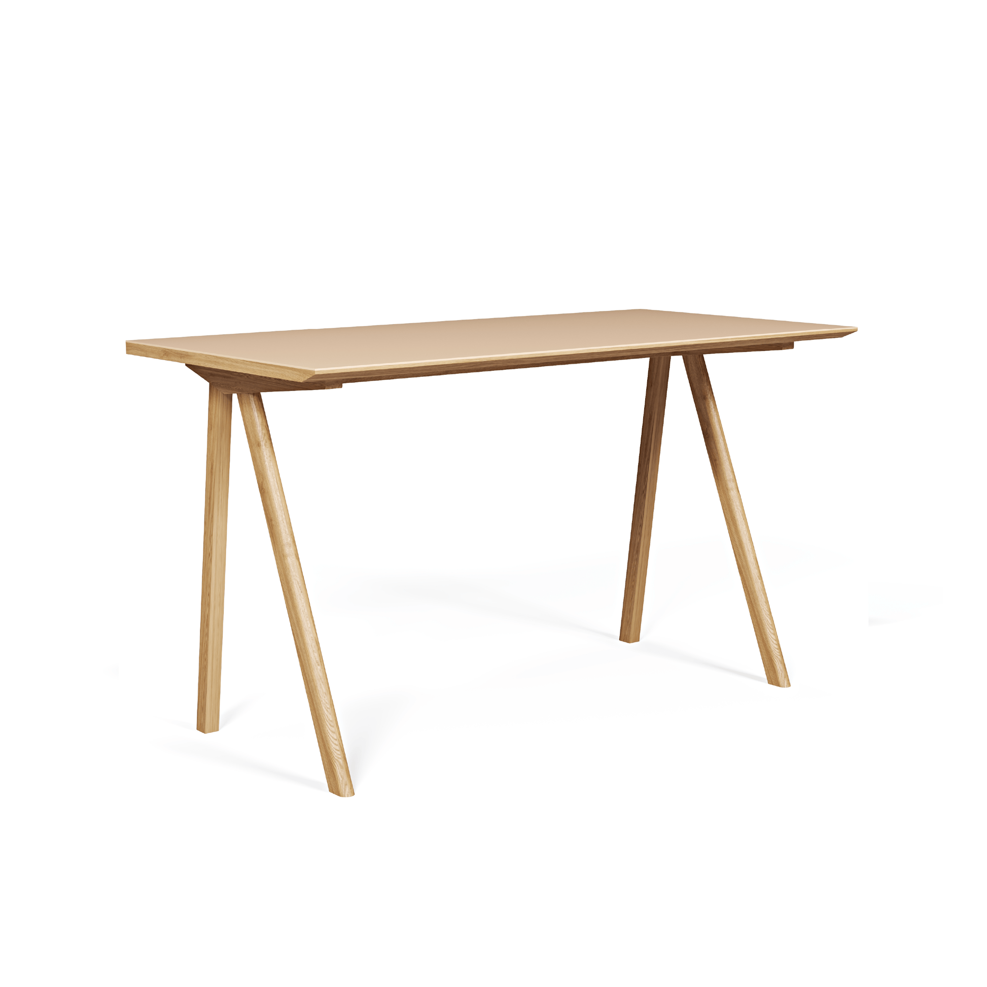 Bike Linoleum Çalışma Masası