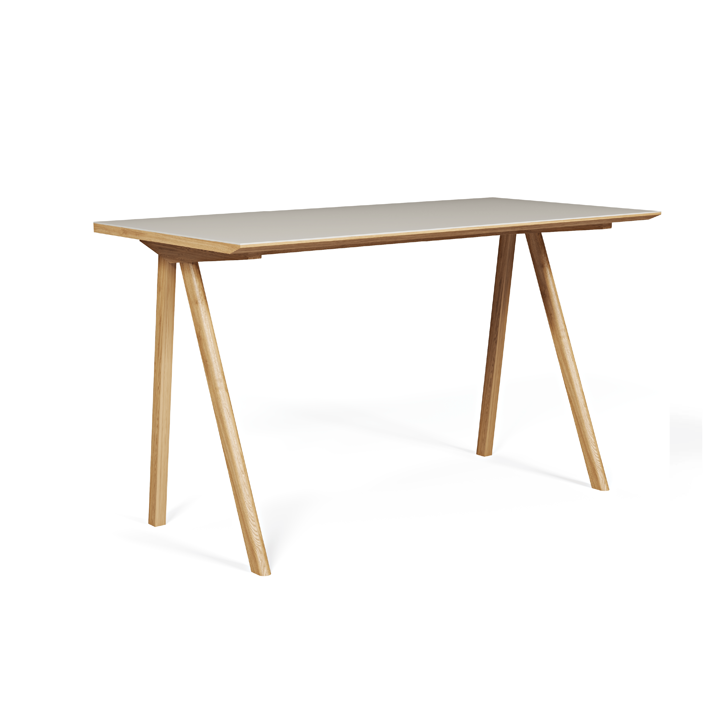 Bike Linoleum Çalışma Masası