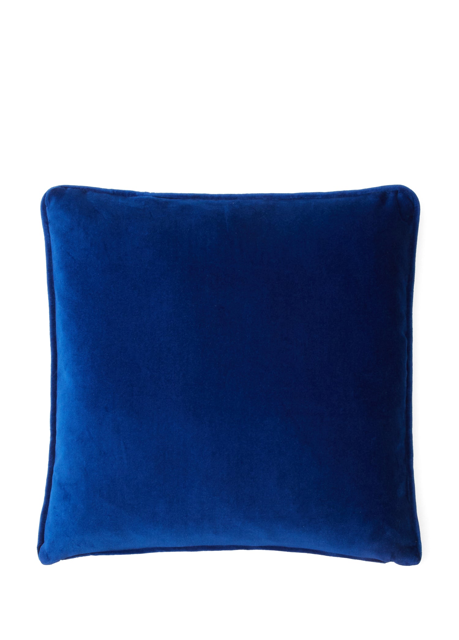 Blue BİRD