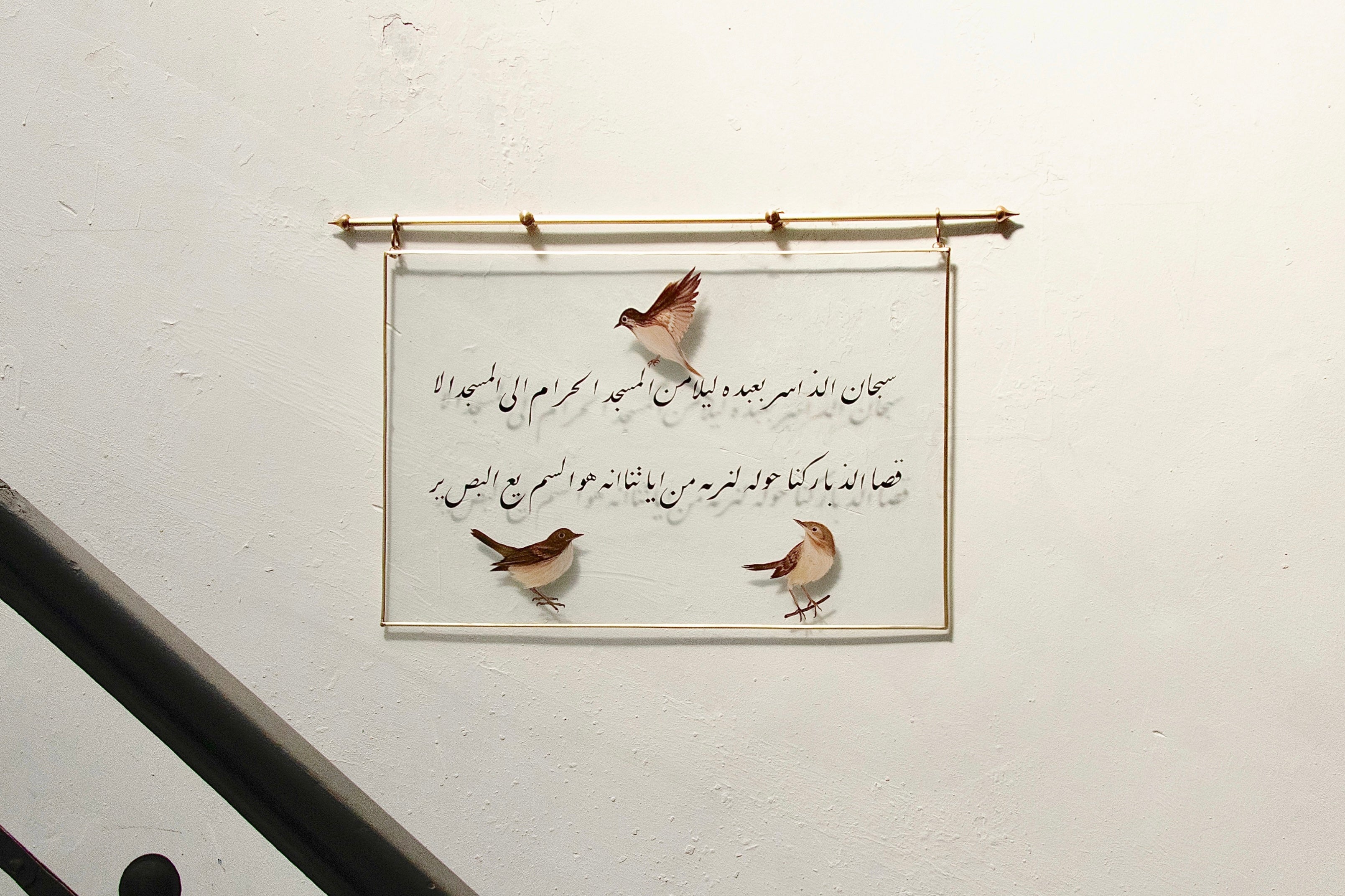 Bülbül Çerçeve